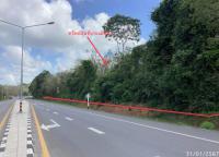 ที่ดินว่างเปล่าหลุดจำนอง ธ.ธนาคารกสิกรไทย หารเทา ปากพะยูน พัทลุง