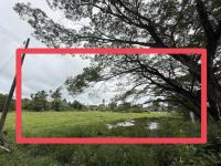 ที่ดินว่างเปล่าหลุดจำนอง ธ.ธนาคารกสิกรไทย ป่าพะยอม ป่าพะยอม พัทลุง