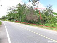 ที่ดินว่างเปล่าหลุดจำนอง ธ.ธนาคารกสิกรไทย หานโพธิ์ เขาชัยสน พัทลุง