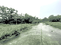 ที่ดินว่างเปล่าหลุดจำนอง ธ.ธนาคารกสิกรไทย แพรกหา ควนขนุน พัทลุง