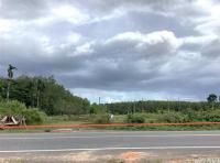 ที่ดินว่างเปล่าหลุดจำนอง ธ.ธนาคารกสิกรไทย เขาชัยสน เขาชัยสน พัทลุง