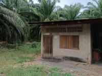 บ้านเดี่ยวหลุดจำนอง ธ.ธนาคารกสิกรไทย ฝาละมี ปากพะยูน พัทลุง