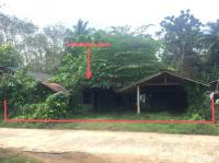 บ้านเดี่ยวหลุดจำนอง ธ.ธนาคารกสิกรไทย วังใหม่ ป่าบอน พัทลุง