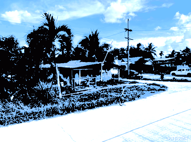 โคกสัก บางแก้ว พัทลุง